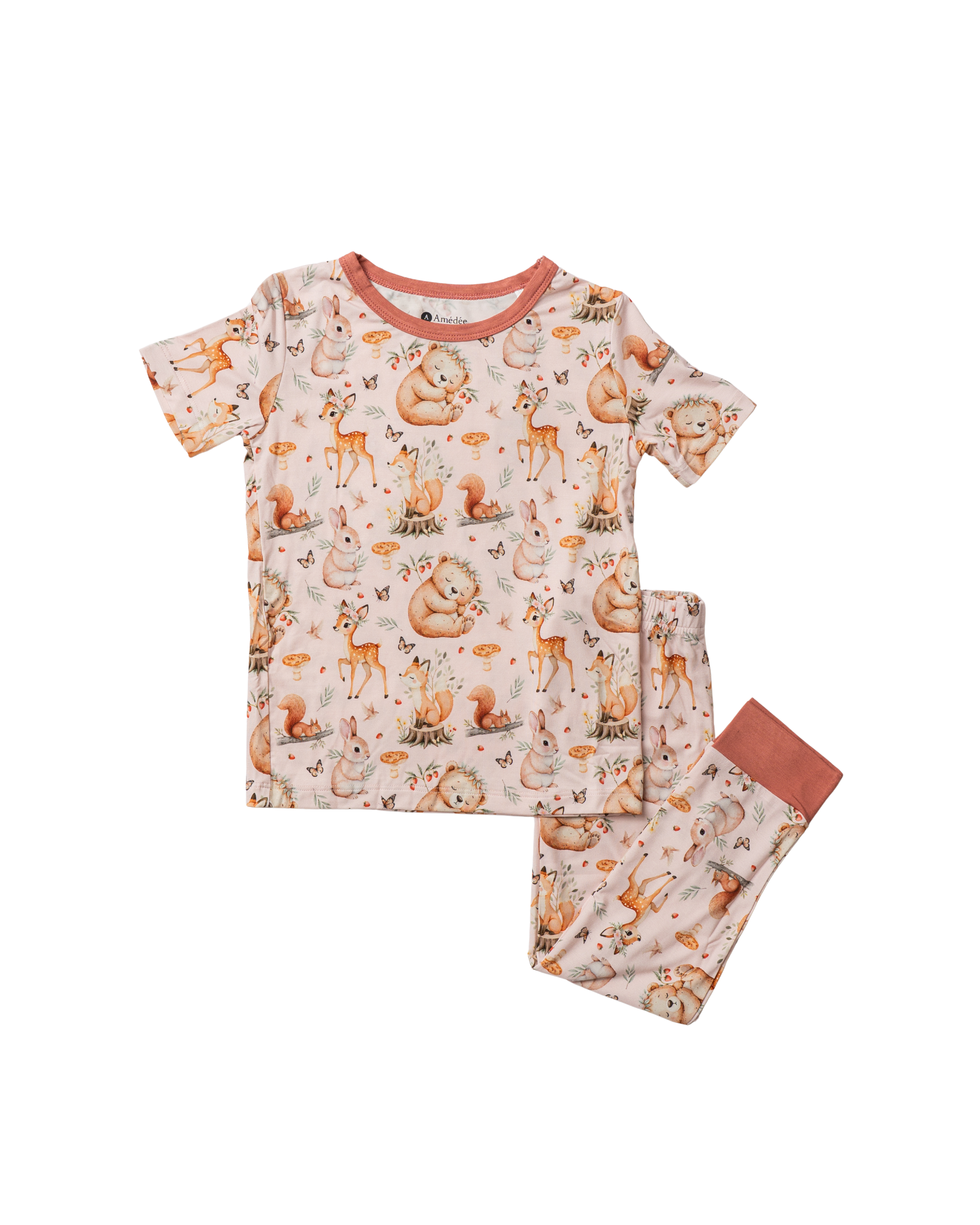 Amedee 2pc Children's Pajamas Ava