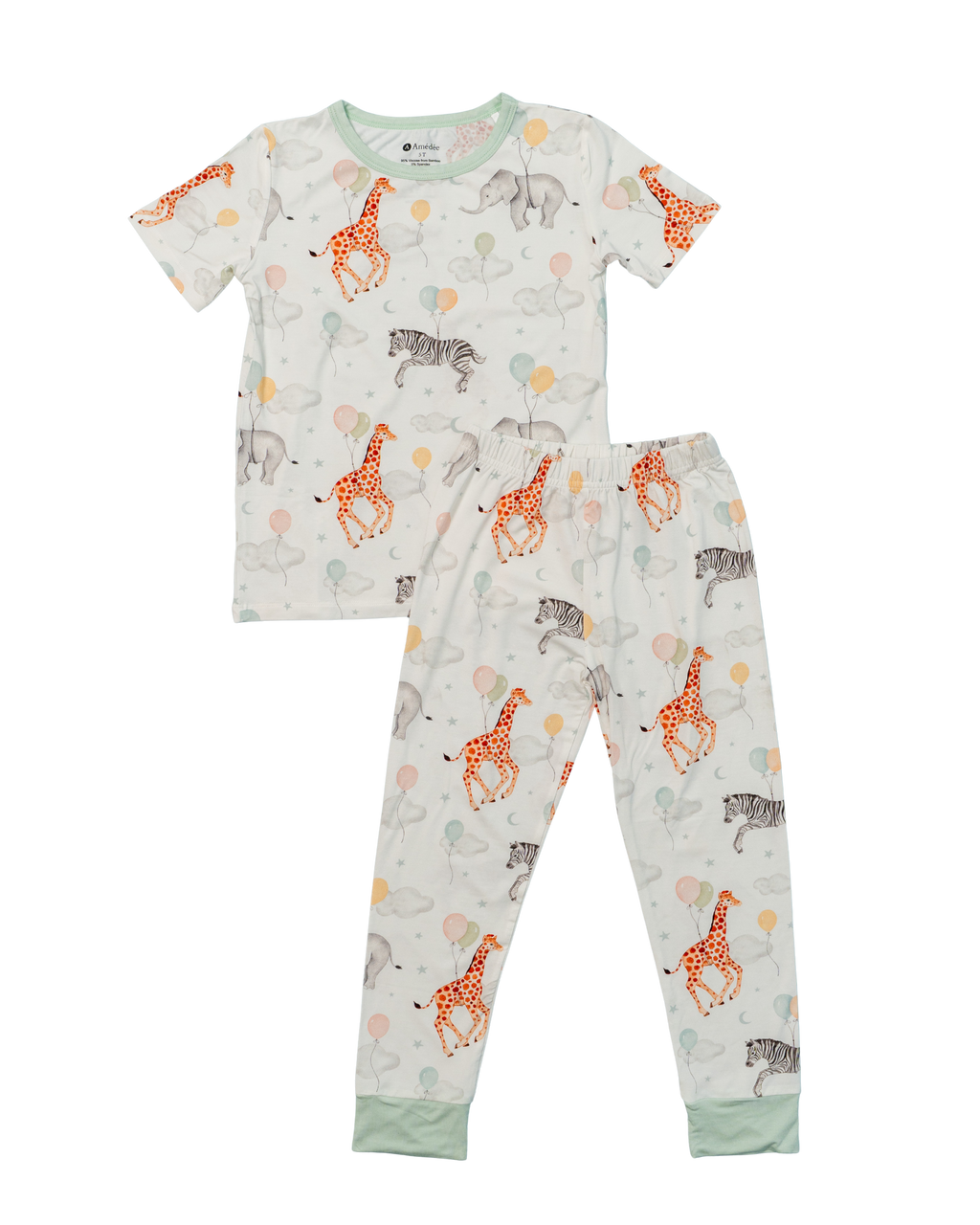 Amedee 2 pc Children's Pajamas Noah
